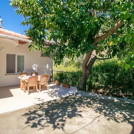 Palmiye Apart Selimiye